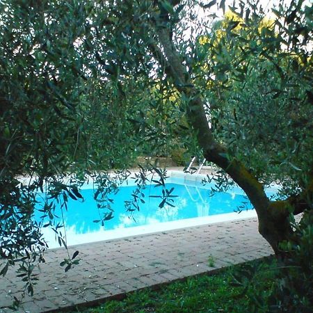 Tenuta Santa Maria Villa Campagnatico Exterior photo
