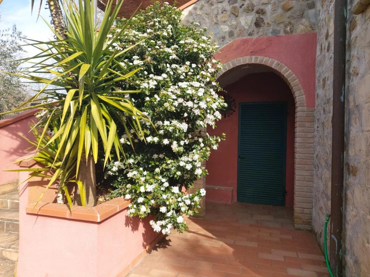 Tenuta Santa Maria Villa Campagnatico Exterior photo