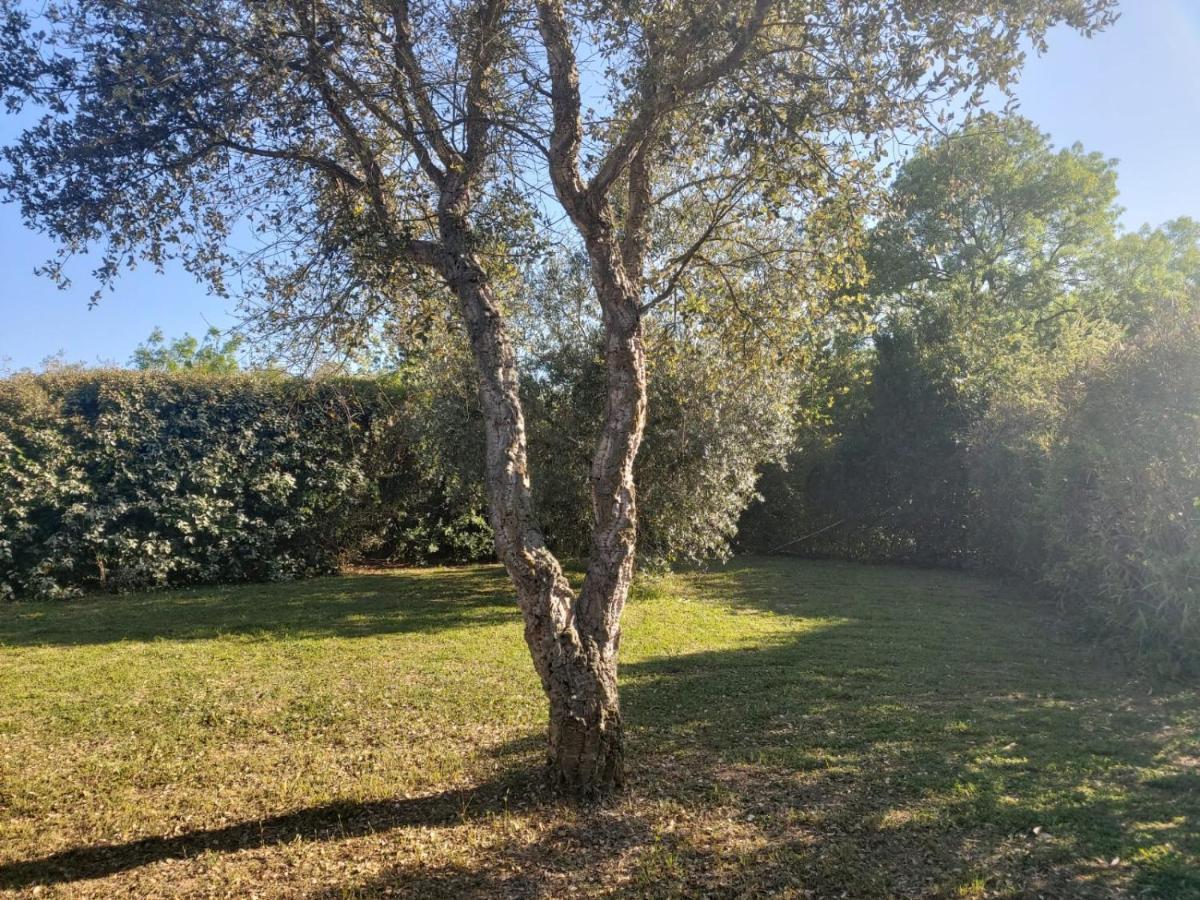 Tenuta Santa Maria Villa Campagnatico Exterior photo