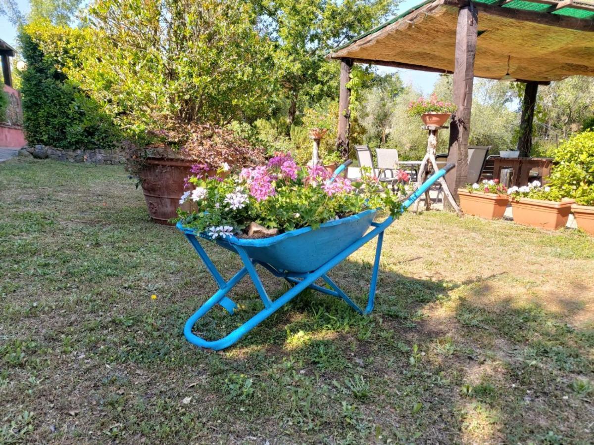 Tenuta Santa Maria Villa Campagnatico Exterior photo