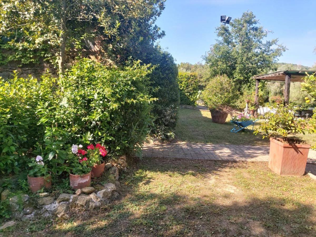 Tenuta Santa Maria Villa Campagnatico Exterior photo